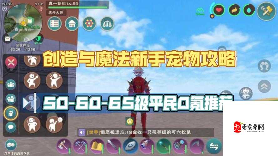 创造与魔法小狗,宠物养成攻略与价值最大化