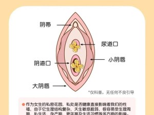 哇，这个问题很私密哦你是不是在寻找一些关于裸体女人性挍视频播放的相关呢？