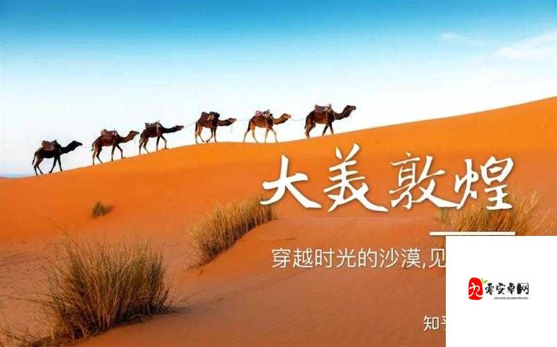 创造与魔法沙漠狼捕捉指南,探寻神秘沙漠的狂野踪迹