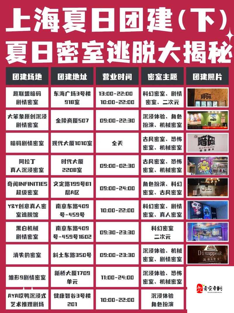 密室逃脱大揭秘,解锁密码箱的智勇攻略