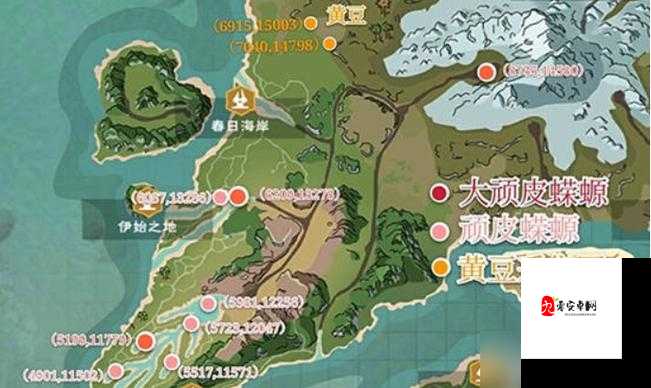 创造与魔法，顽皮蝾螈实用性深度剖析