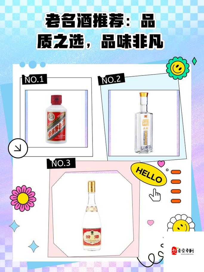 96 精品:优质之选,非凡体验