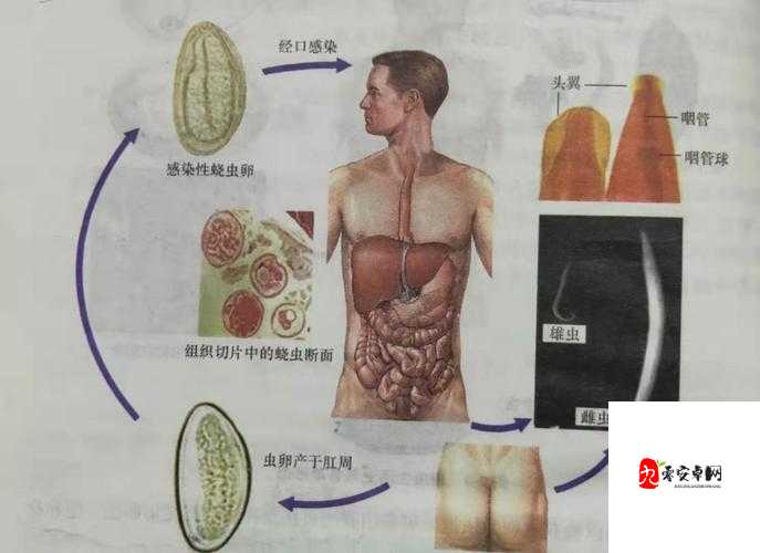 叔叔称我体内有虫子,这究竟是怎么回事