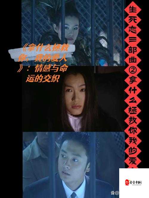 冲喜侍妾:命运交织中的爱恨情仇与无奈挣扎
