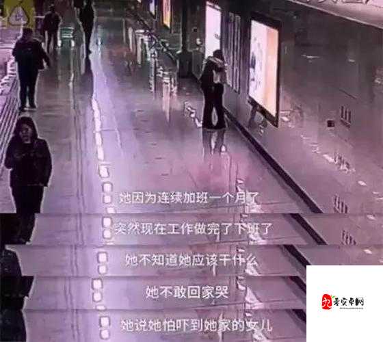 售票员用小学查票 20 路:探寻背后的责任与关怀