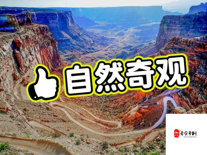 探索美国的自然宝藏:国家公园、森林和自然奇观