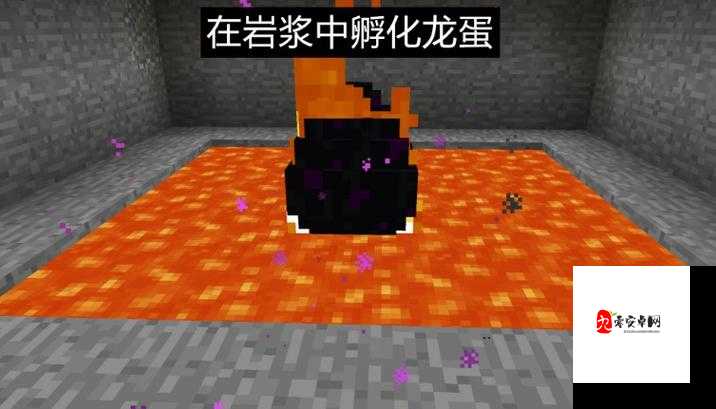 冰原守卫者,揭秘龙蛋的取出与孵化之旅