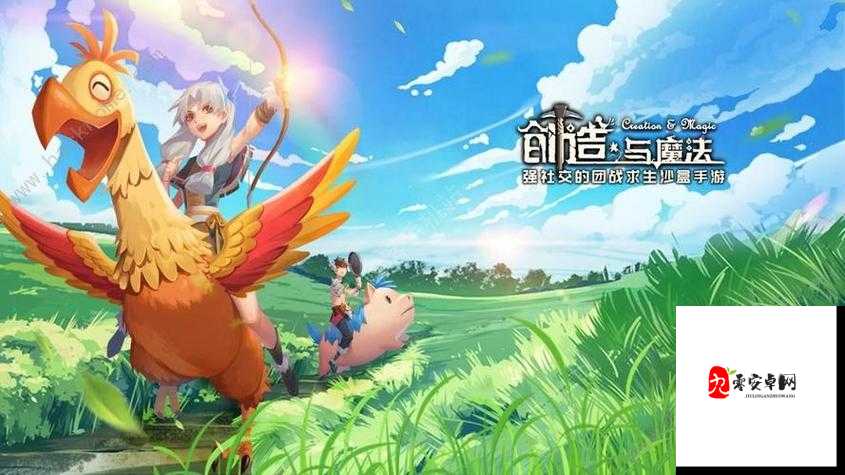 创造与魔法,揭秘可可豆的奇妙用途