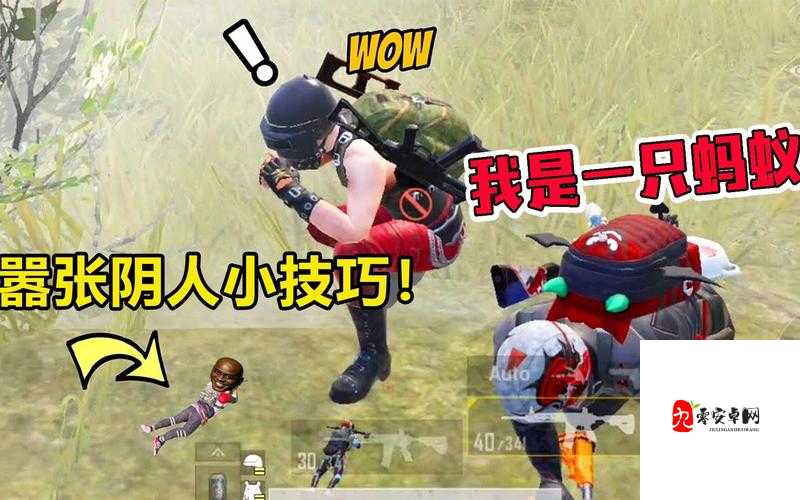 和平精英监狱如何阴人,策略、技巧与价值最大化