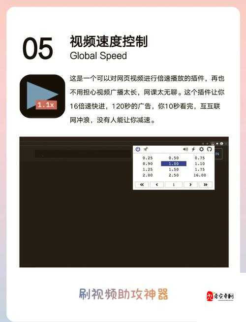可以进入任何网站的浏览器:突破限制畅享网络世界