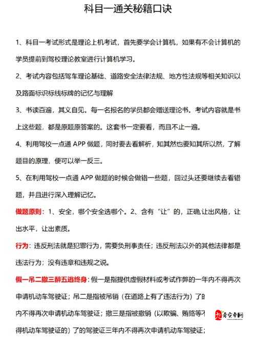真王新手必看,试练塔通关秘籍大公开!