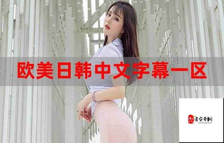 欧美精产国品一二三区:带你领略欧美精品的独特魅力