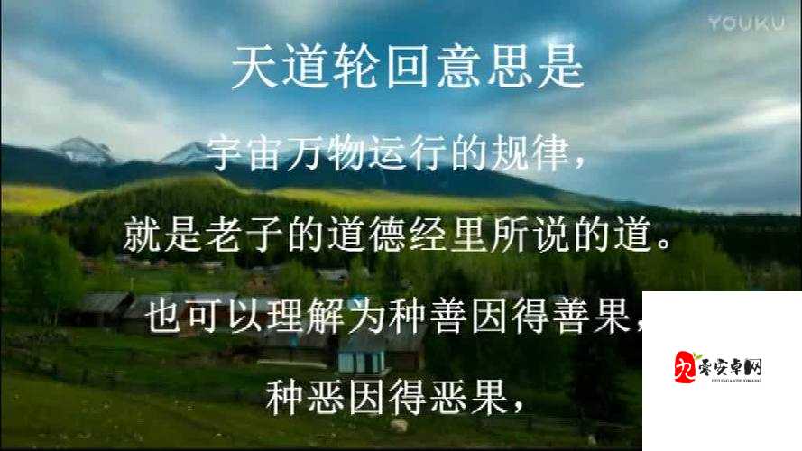 天道轮回新手攻略,快速获得天道与天道值用途深度解析
