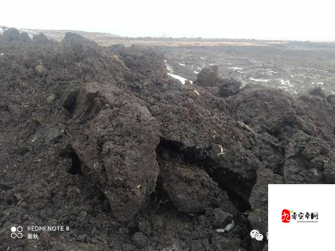 珍贵的黑土地为何张嘴流泪?高清图片揭示背后的惊人真相