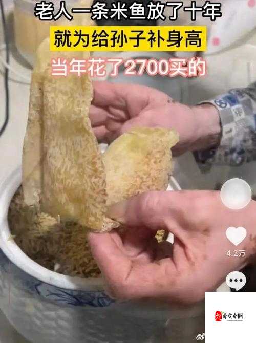 今日新鲜事:那些你不知道的新奇事儿