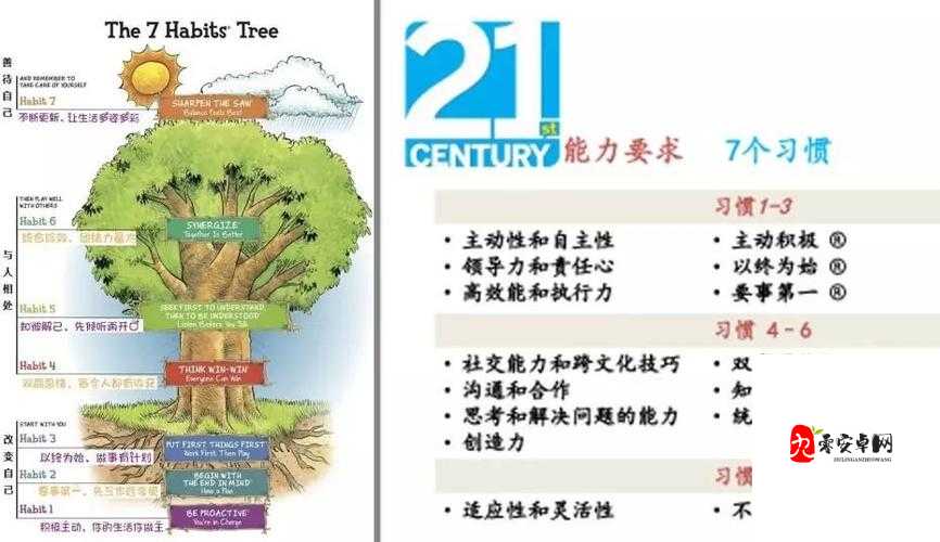一体 7 交是哪 5 个地方遭人嫌弃:深入探究背后原因及影响