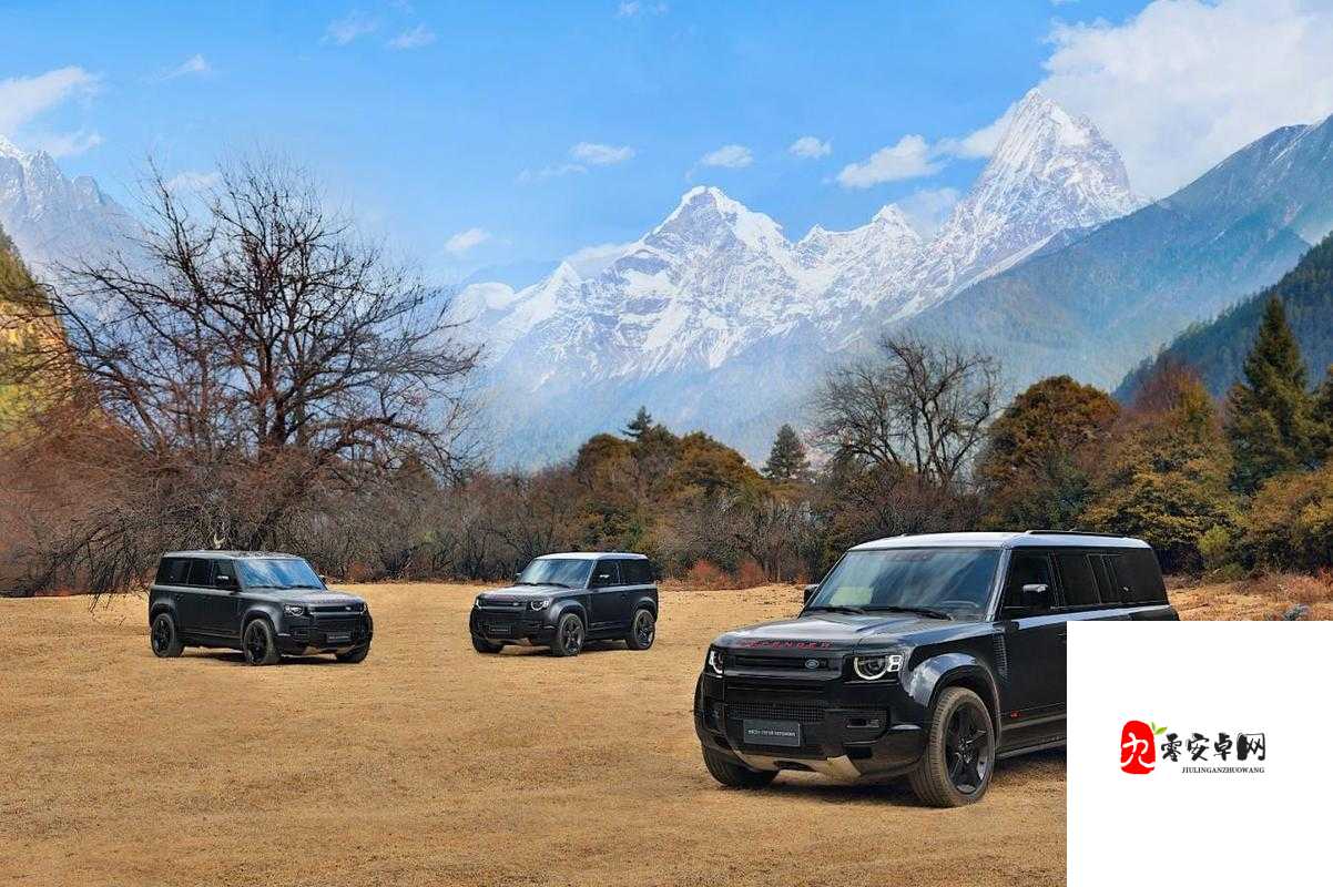 497799 欧洲版的国产 SUV 有什么特点:详细解析与优势探究