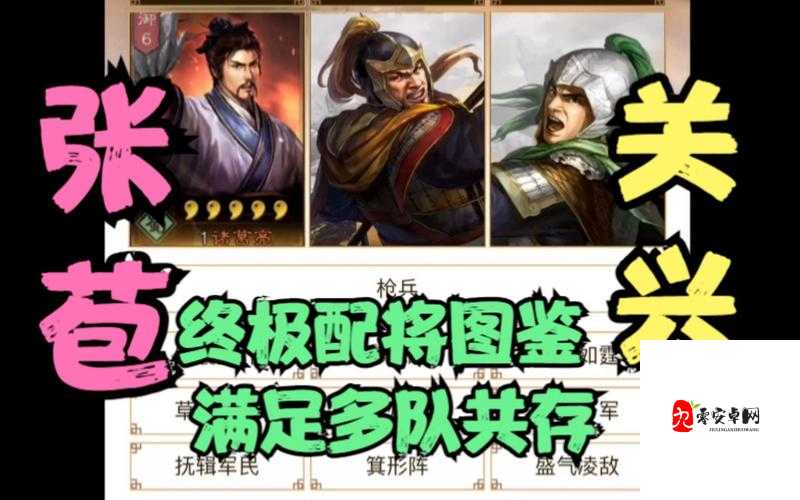 三国志战略版关兴阵容如何搭配,关兴阵容搭配攻略介绍