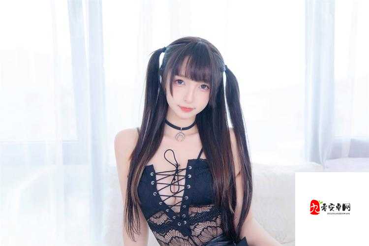 无人区码一码二码w358cc:关于它的详细介绍与分析