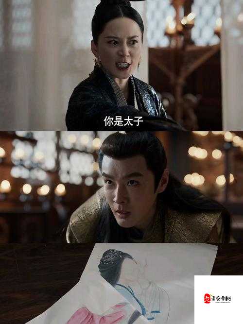 可不可以干湿你骨科太子:一场禁忌的情感纠葛