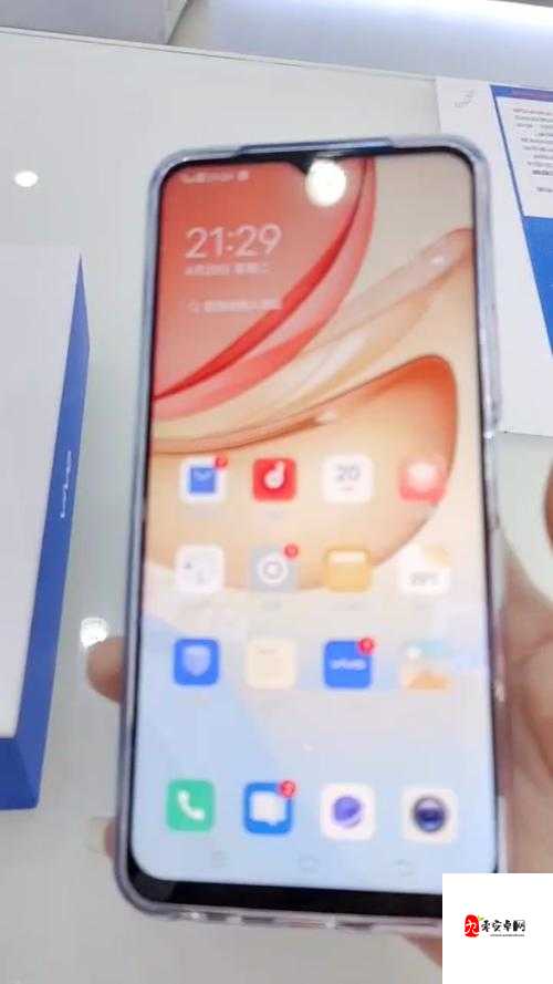 y31s 和 y31s 标准区别更新,众多海外直播间直呼: