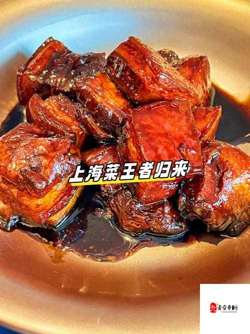 NP 乱辣盛宴:全肉激情燃烧,挑战你的视觉与味觉