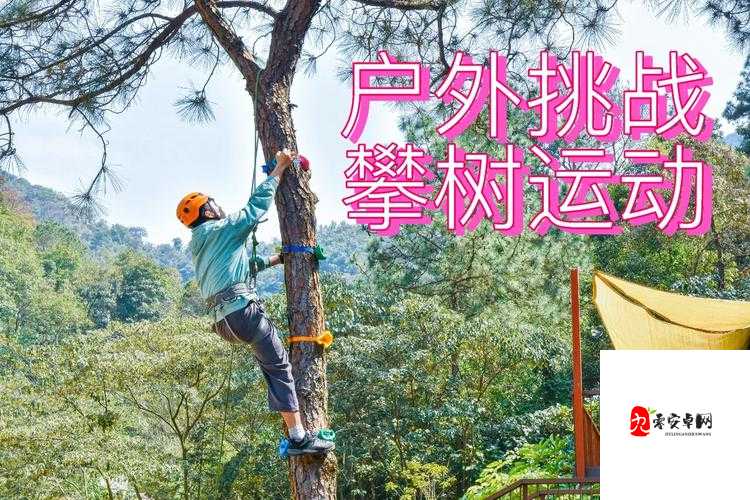 AV 户外天码中国:探索户外与别样精彩的奇妙融合