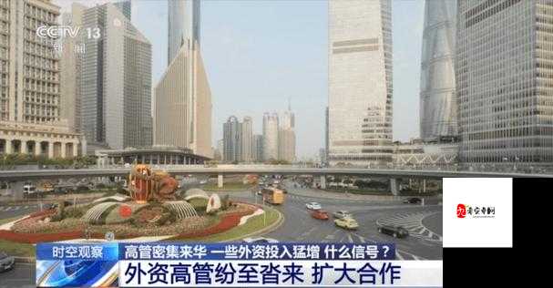 91 苏州晶体 MBA 智库:探索商业管理新高度