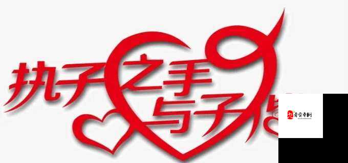 浪漫夫妻:执子之手,与子偕老