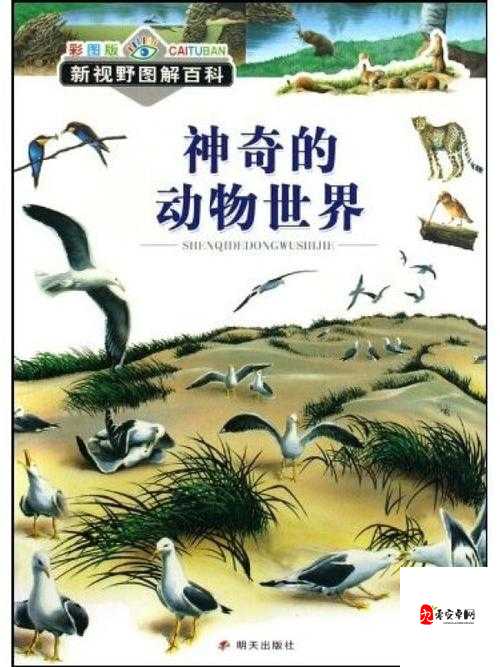 ZOOM 动物:神秘的动物世界,等您来探索