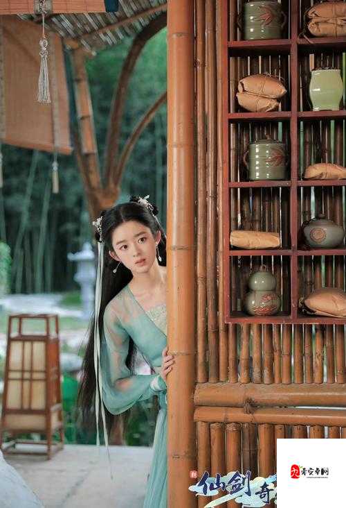 新仙剑奇侠传之挥剑问情,侍女打法全攻略