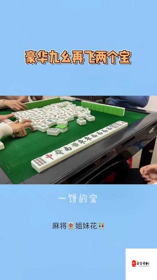 九幺黄高危风险 9:不容忽视的潜在危机探讨