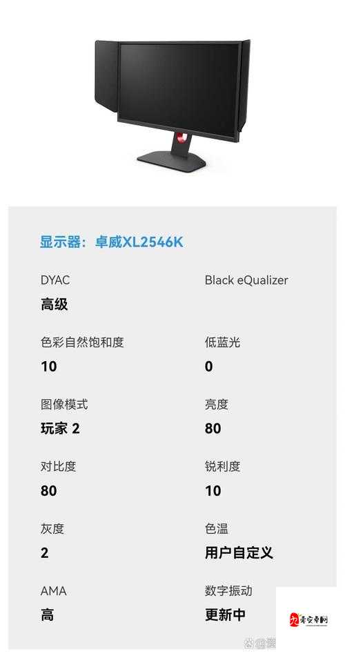 17 岁俄罗斯 csgo :天才少年的电竞追梦之旅
