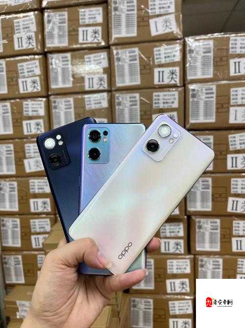 3.0.3 免费 OPPO 版破解大全:畅享无限精彩资源