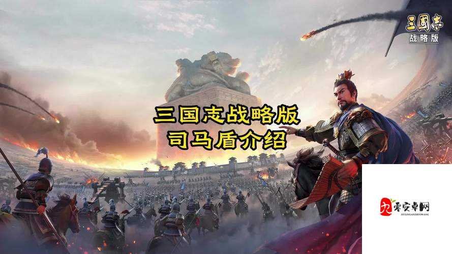 三国志战略版满宠藤甲司马盾,如何选择阵容与司马盾阵容搭配一览在资源管理中的重要性