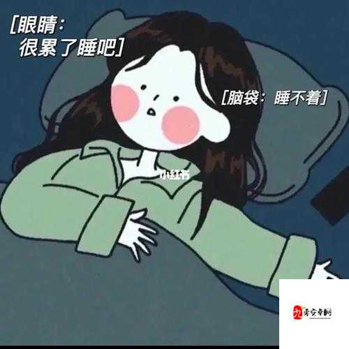 男女晚上睡不着啦啦啦啦凌晨 5 点:奇妙的深夜时光