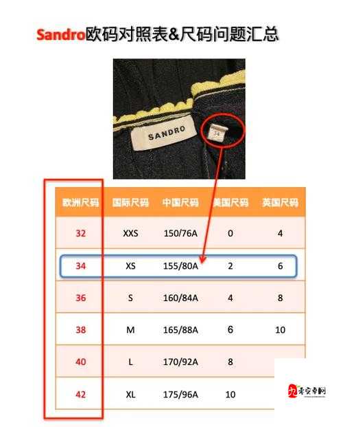 精品欧洲一码二码区别在哪:揭秘版本差异与使用技巧