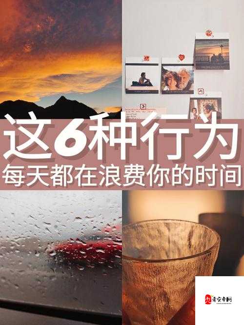 无双之王中的五行幻境,资源管理、高效利用与避免浪费的全面解析