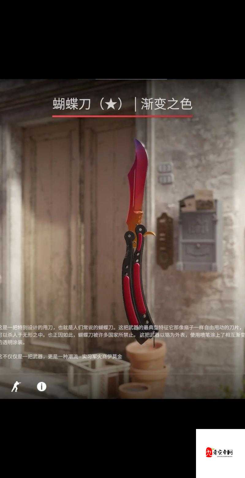 17 岁俄罗斯 csgo:少年天才在电竞舞台上的追梦之旅