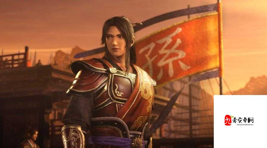真三国无双霸周瑜能力分享,周瑜拥有什么技能在资源管理中的重要性