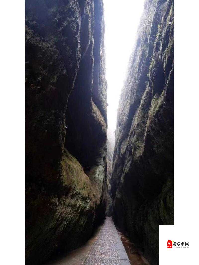 白虎一线天:大自然鬼斧神工造就的奇妙景观探险之旅