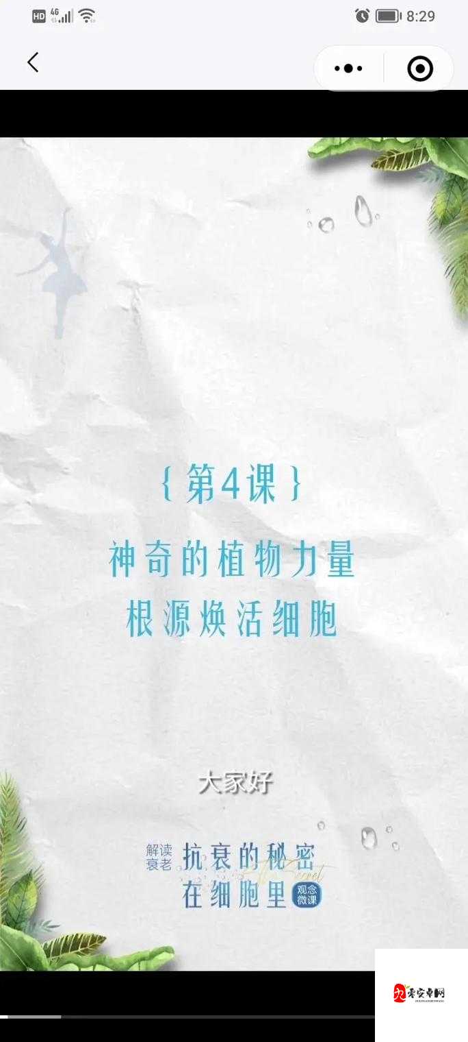 植物休闲大作战,解锁辅助植物的神奇力量