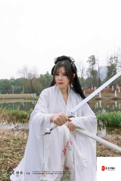 武林闲侠众多女侠分享,辅助女侠推荐在资源管理中的重要性及策略