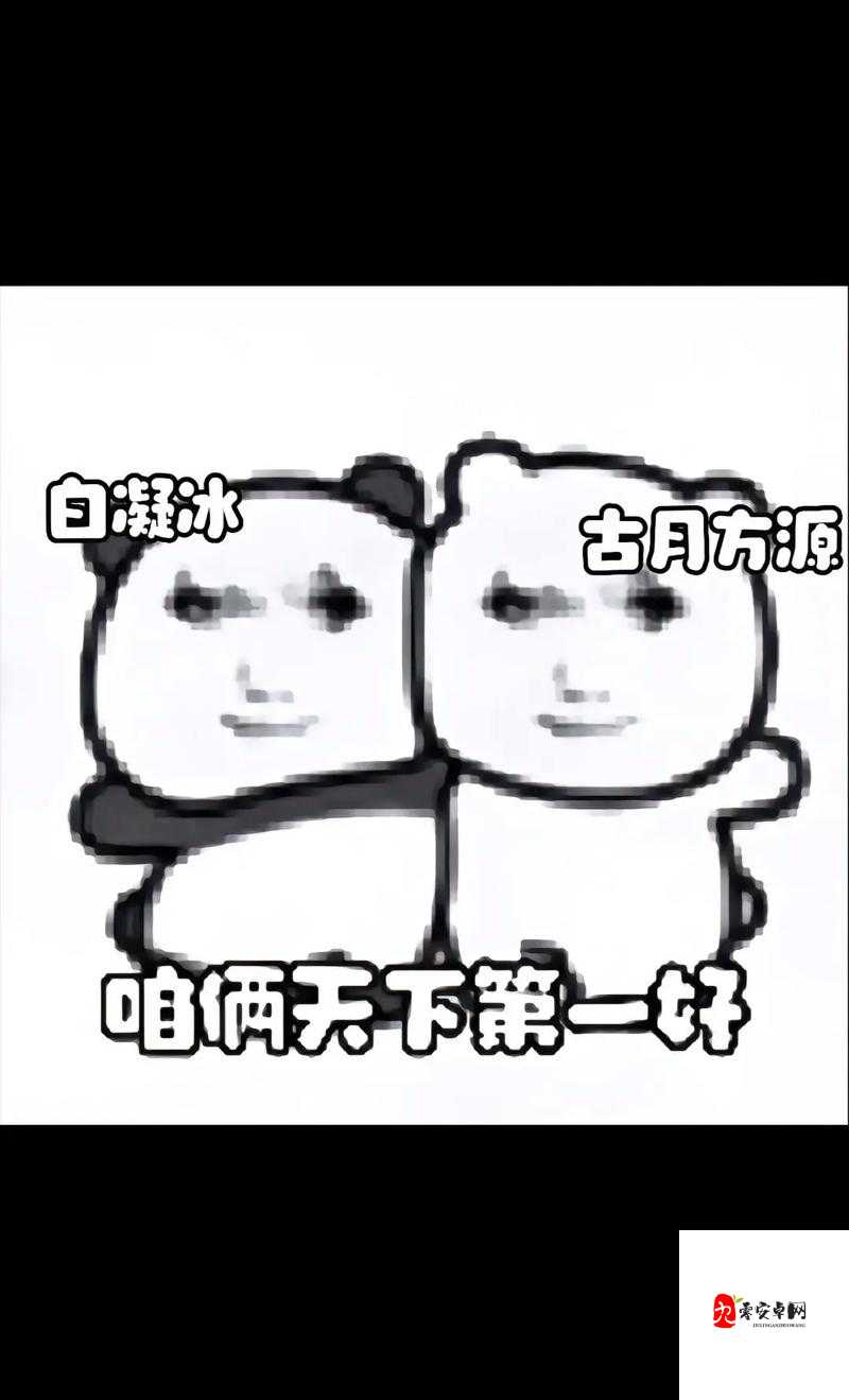 2024,白天躁晚上躁天天躁:是压力还是欲望?