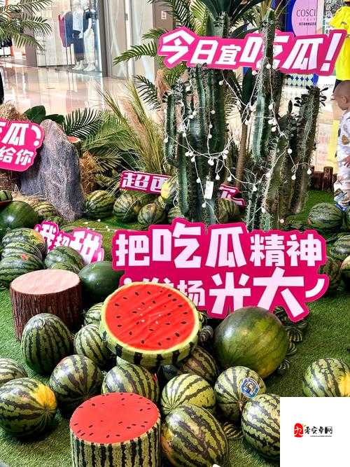 五一吃瓜趣事多:畅享假期欢乐与瓜田精彩