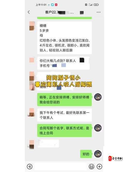 女狗任务表:探索女狗的奇妙任务与精彩历程