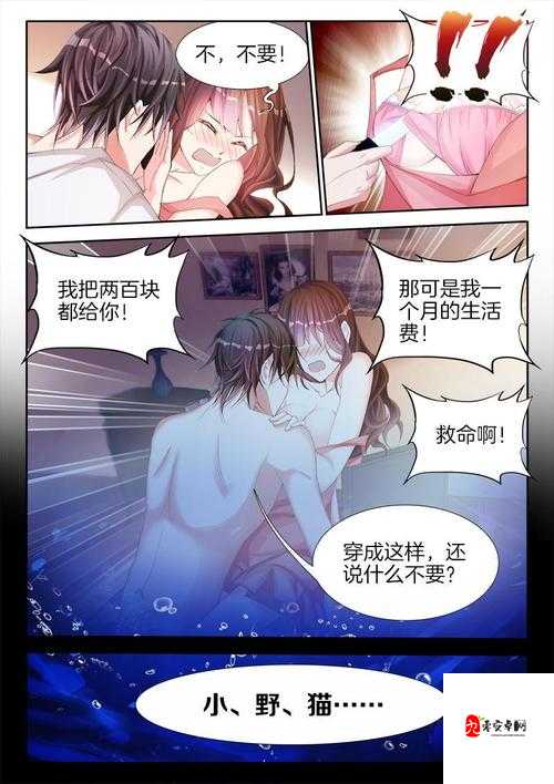 男人插女人网站在线观看:成人伦理片的禁地