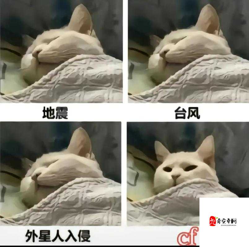 魔性表情包,合理规划,快速提分——资源管理在游戏中的艺术