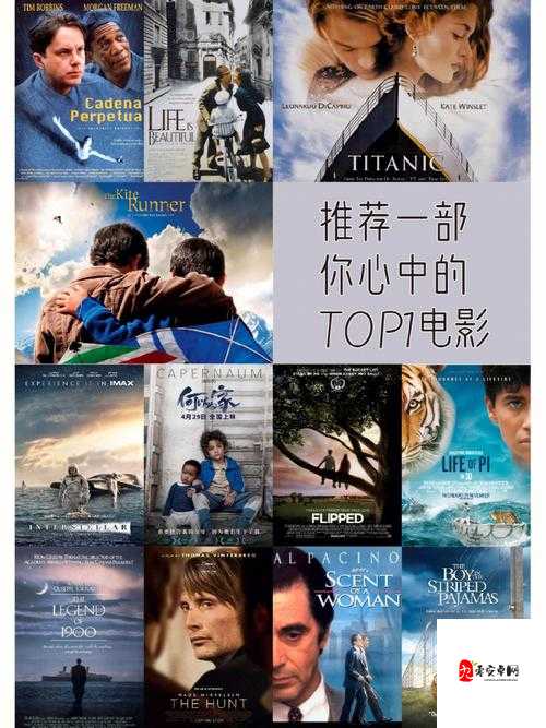 我需要爸爸播种美国电影:一场独特的观影体验