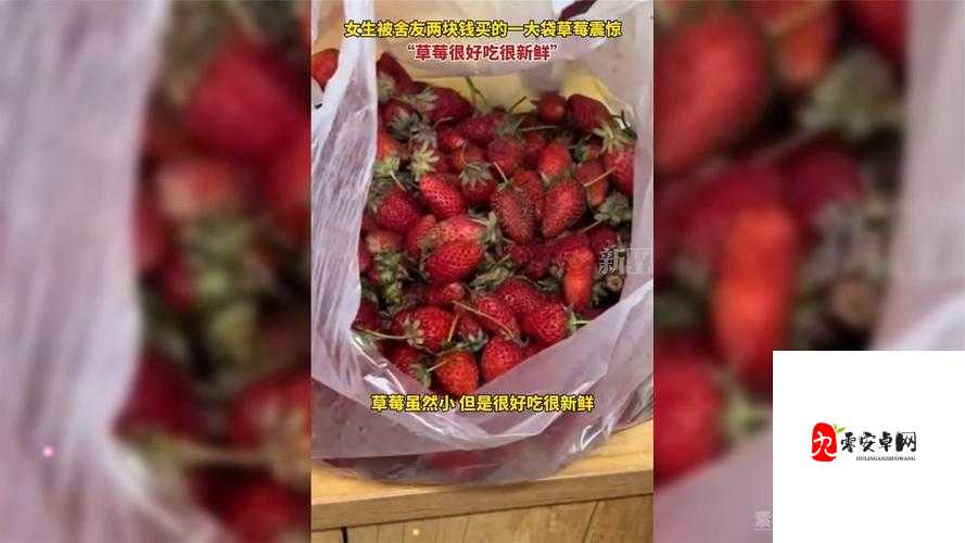 草莓视频怎么恢复:解决方法与注意事项